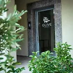 Olive 301