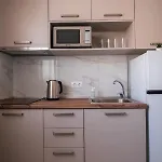 Olive 301