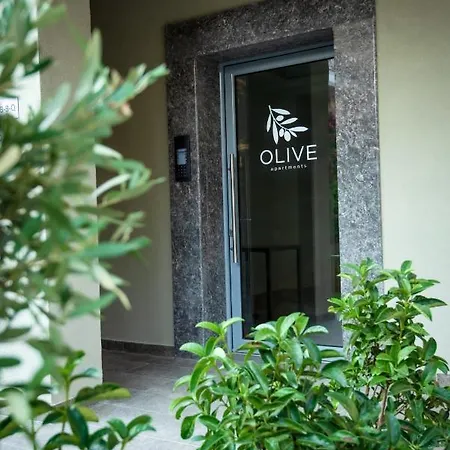 Olive 301