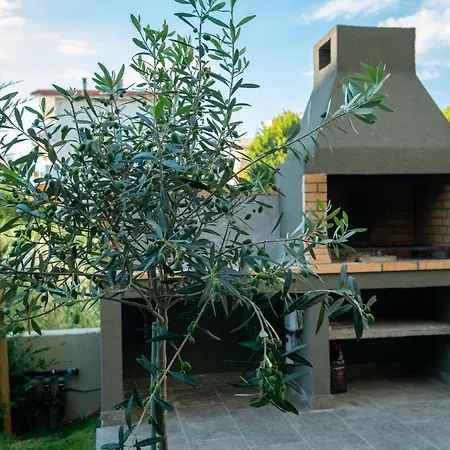 Olive 301 شقة Peraía