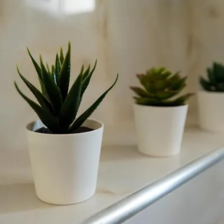 Olive 301 Apartment
