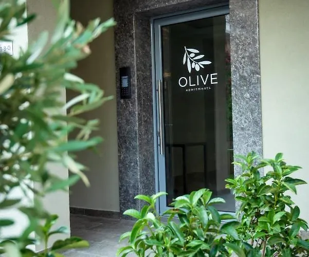 Olive 301