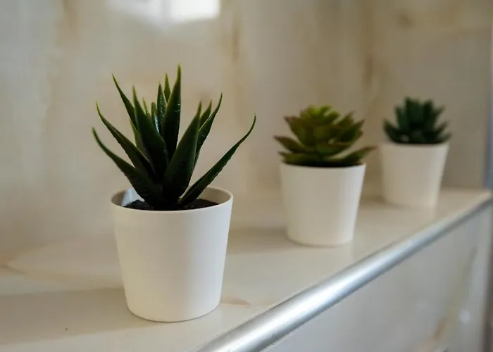 Olive 301 Apartment